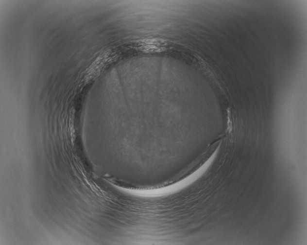 X0000085730512200703301405