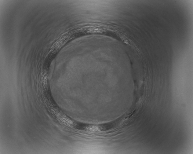 X0000085730513200703301405