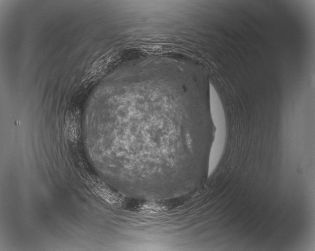 X0000085730515200703301405