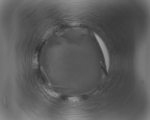 X0000085730516200703301405