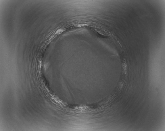 X0000085730517200703301405