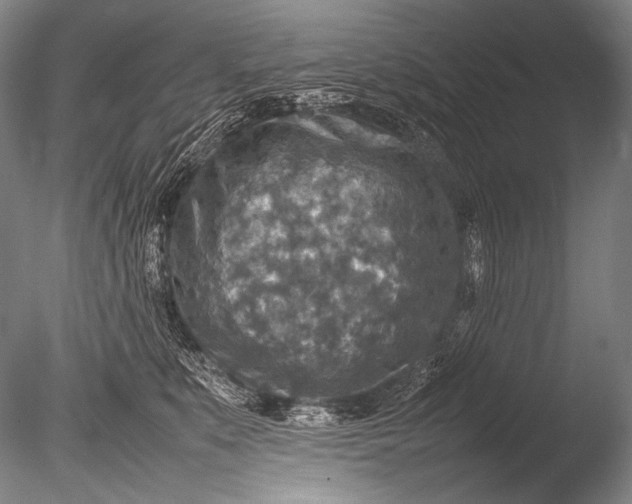 X0000085730519200703301405