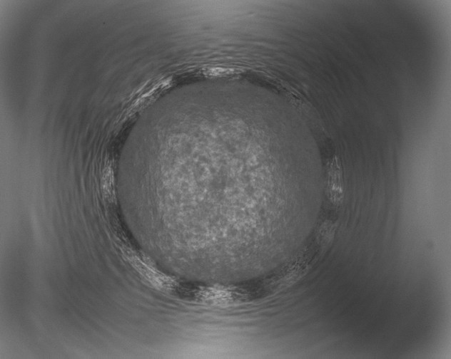 X0000085730523200703301405