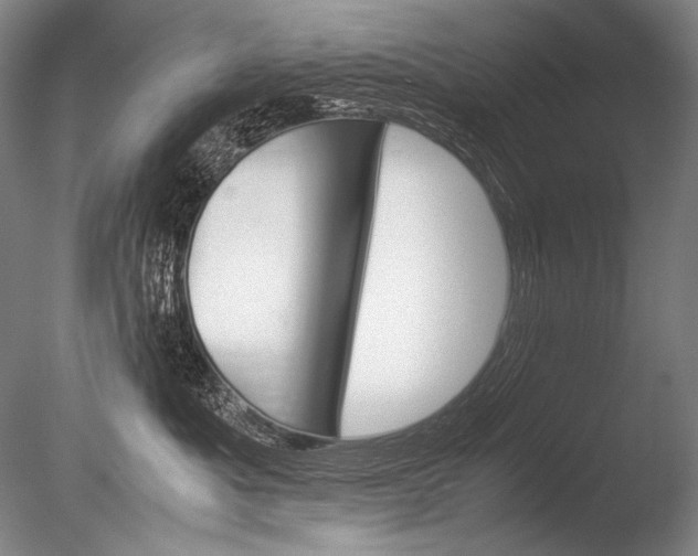 X0000085730525200703301405