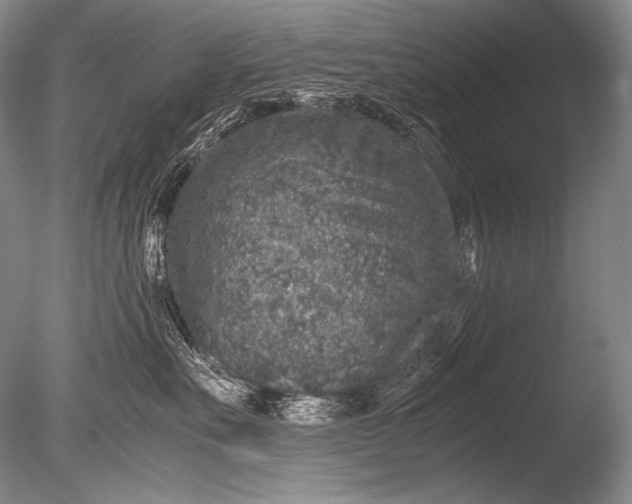 X0000085730527200703301405