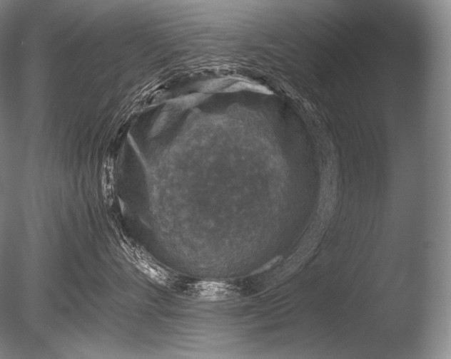 X0000085730528200703301405