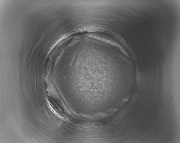 X0000085730530200703301404