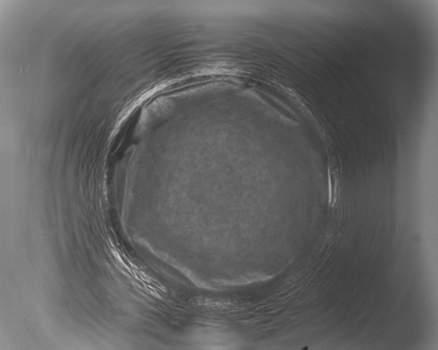 X0000085730531200703301404