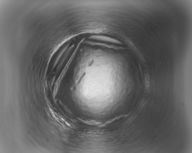 X0000085730532200703301404