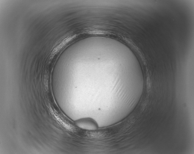 X0000085730533200703301404