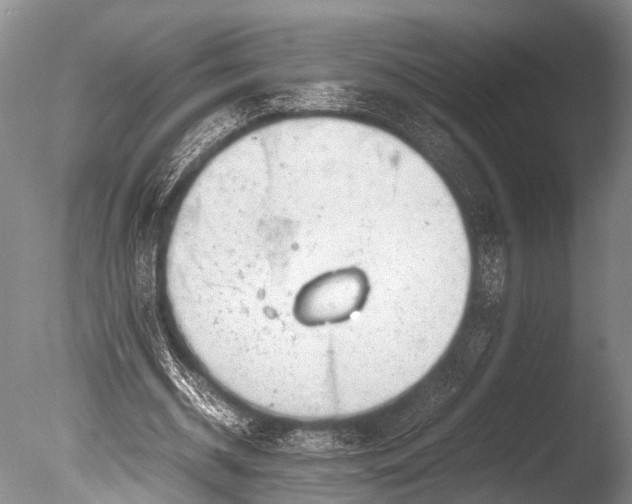 X0000085730534200703301404