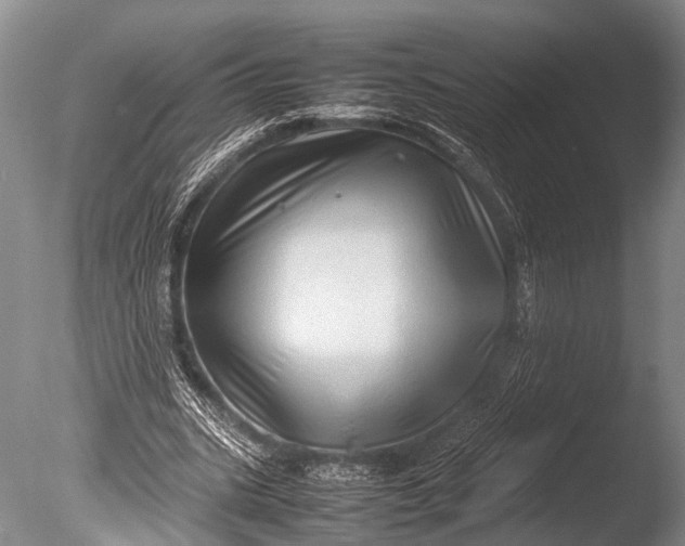 X0000085730535200703301404