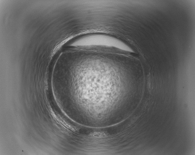 X0000085730536200703301404