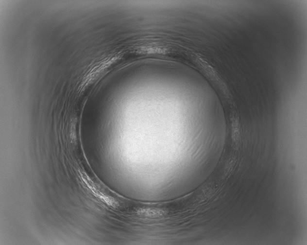 X0000085730537200703301404