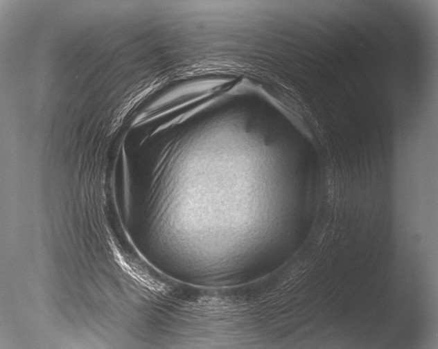 X0000085730538200703301404