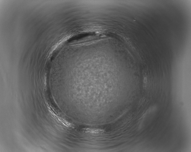 X0000085730539200703301404