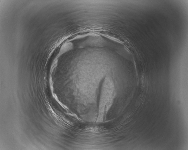 X0000085730540200703301404