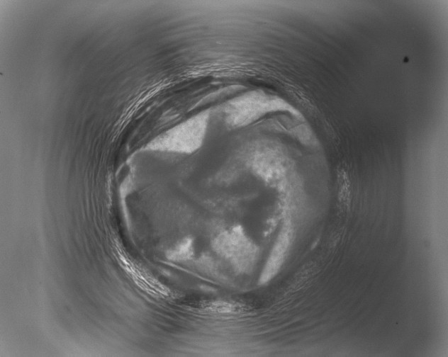 X0000085730542200703301404