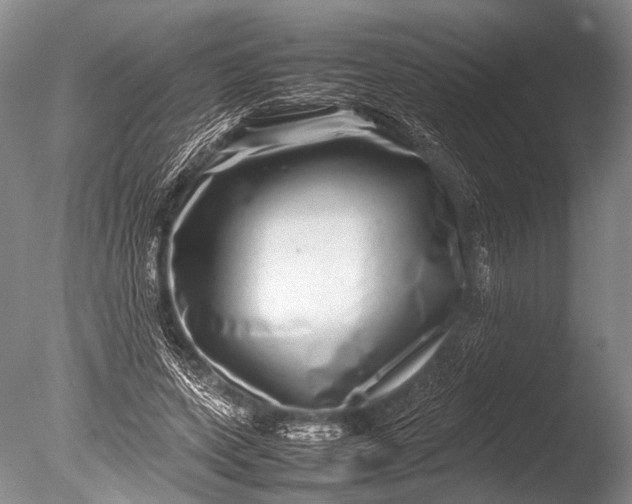 X0000085730543200703301404