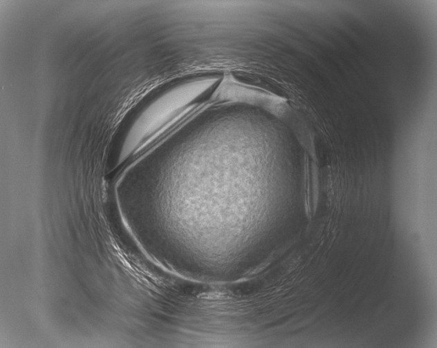 X0000085730544200703301404