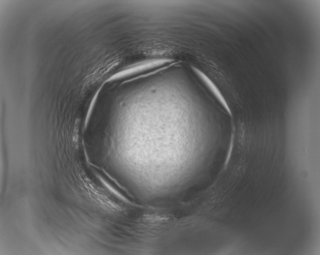 X0000085730545200703301404