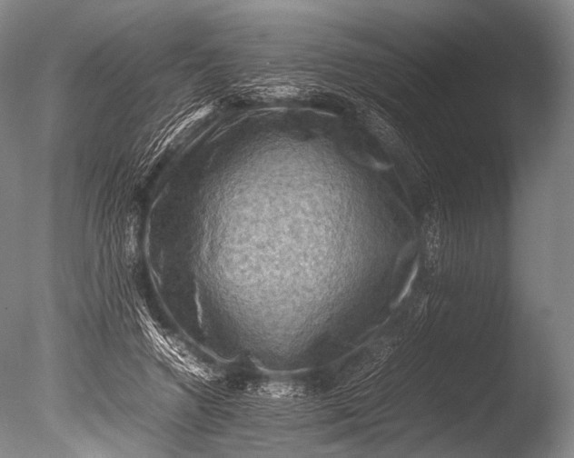 X0000085730546200703301404