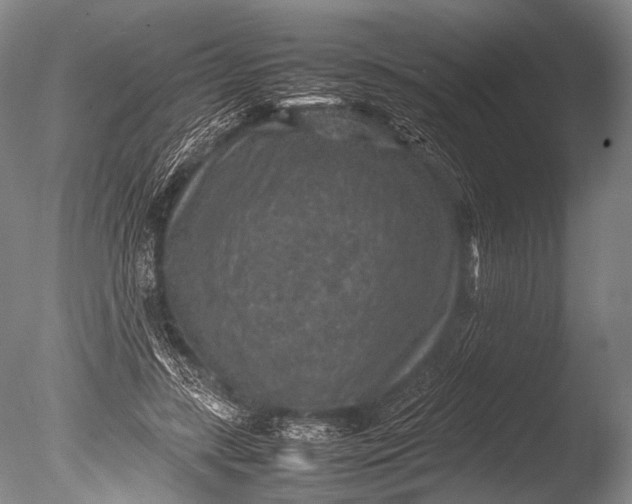 X0000085730547200703301404