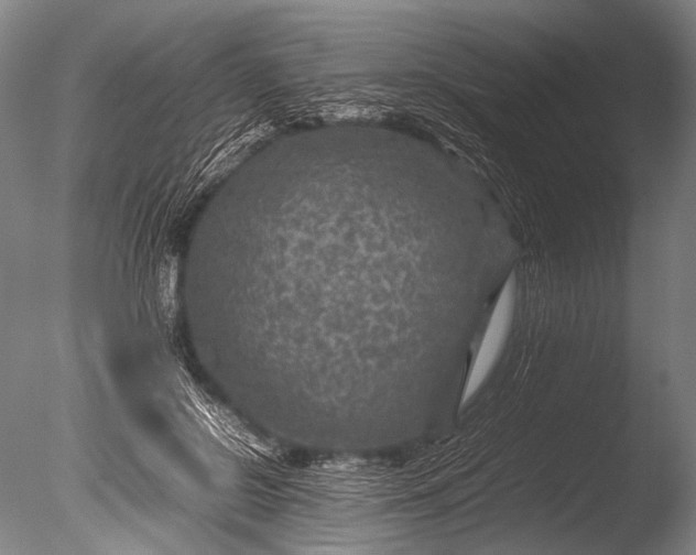 X0000085730550200703301404