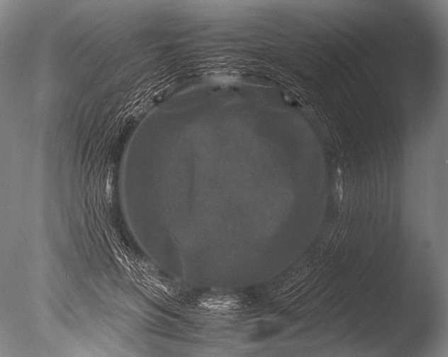 X0000085730551200703301404