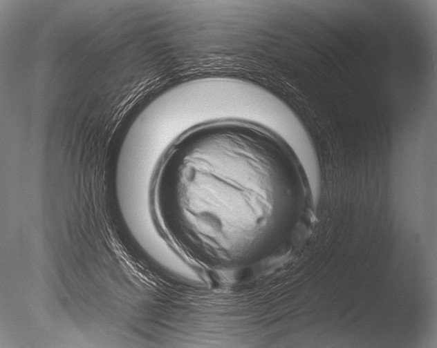 X0000085730552200703301404