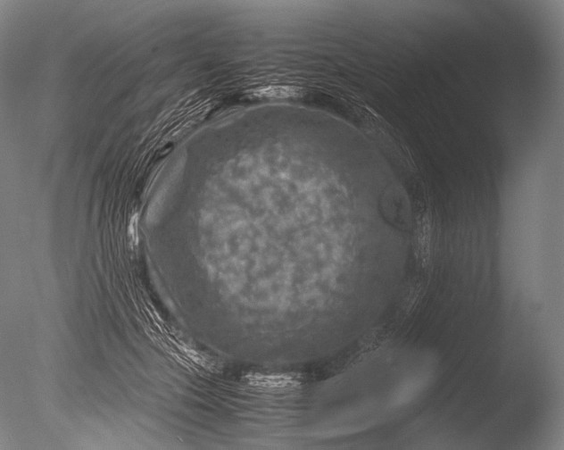 X0000085730553200703301404