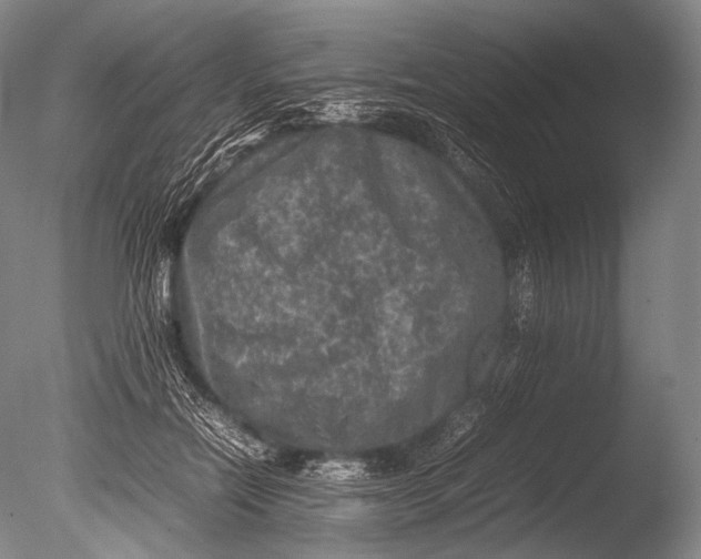 X0000085730554200703301404