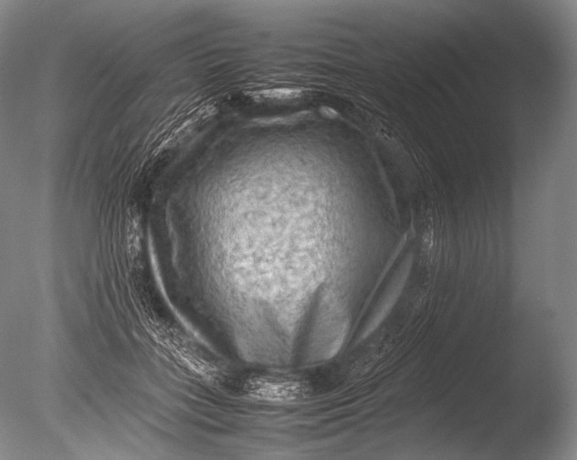 X0000085730555200703301404