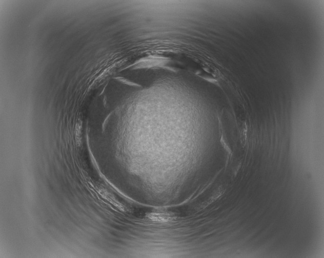 X0000085730556200703301404