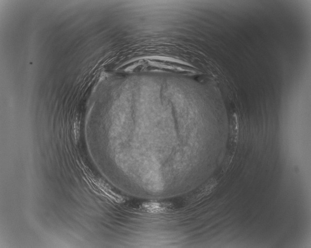 X0000085730558200703301404