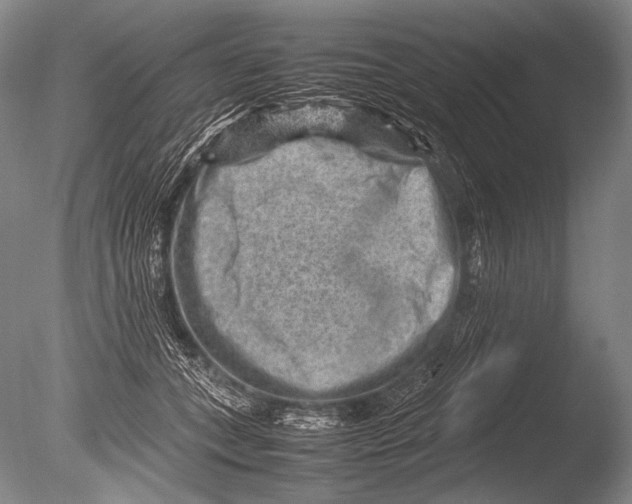 X0000085730559200703301404