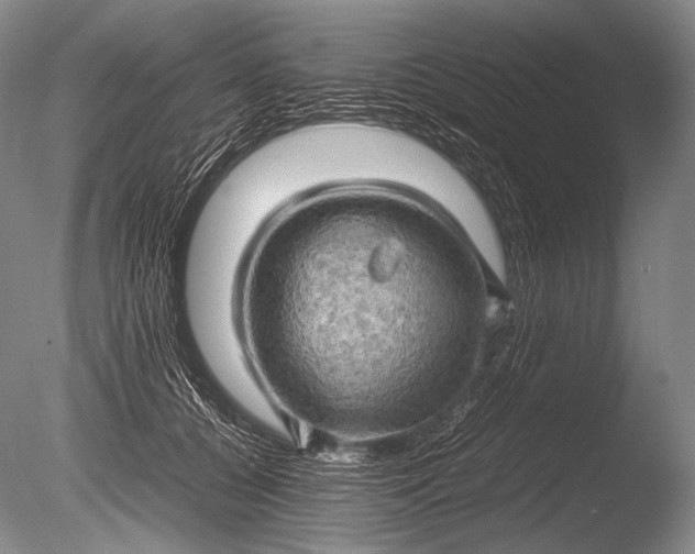 X0000085730560200703301404