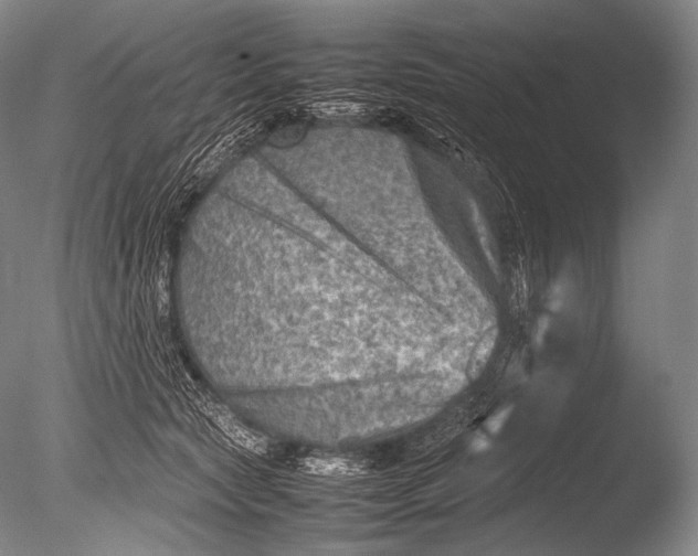 X0000085730561200703301404