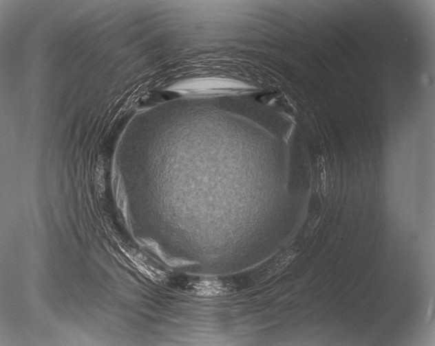 X0000085730562200703301404