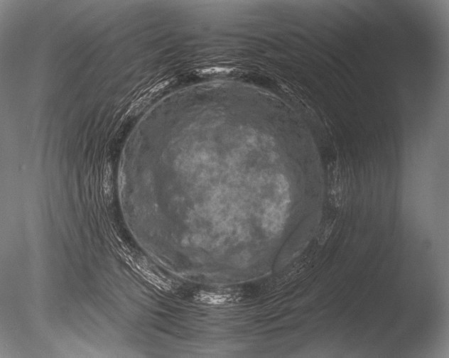 X0000085730563200703301404