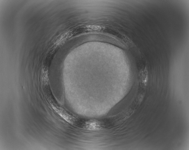 X0000085730564200703301404