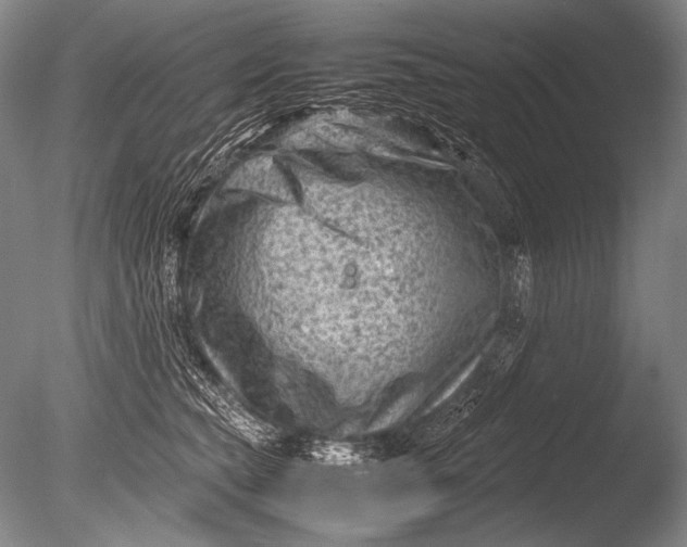 X0000085730565200703301404