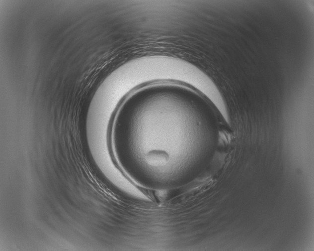 X0000085730566200703301405