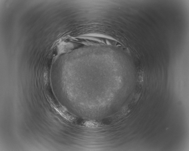 X0000085730568200703301405