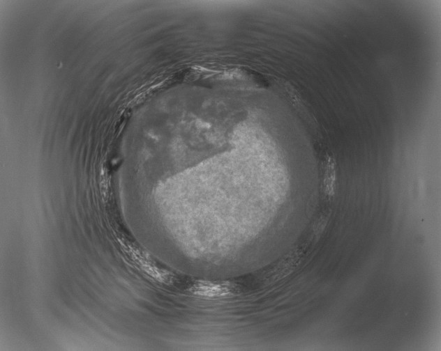 X0000085730569200703301405