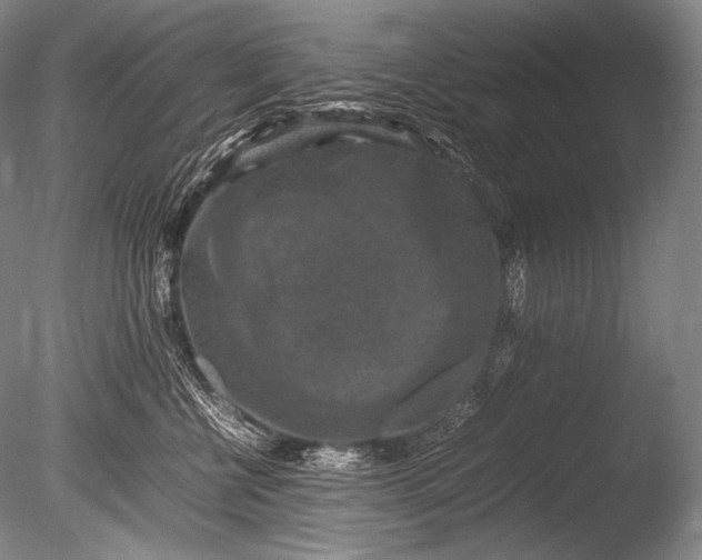 X0000085730570200703301405