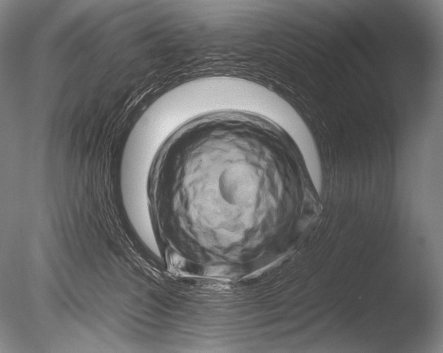 X0000085730572200703301405