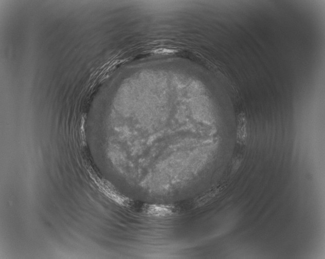 X0000085730573200703301405