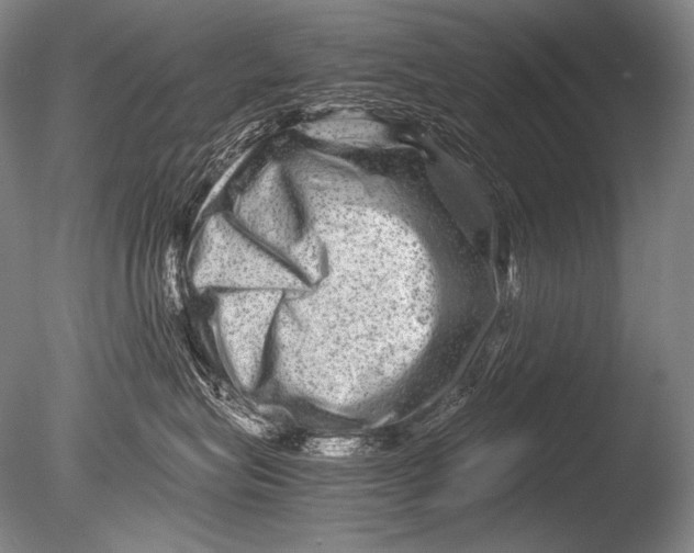 X0000085730575200703301405