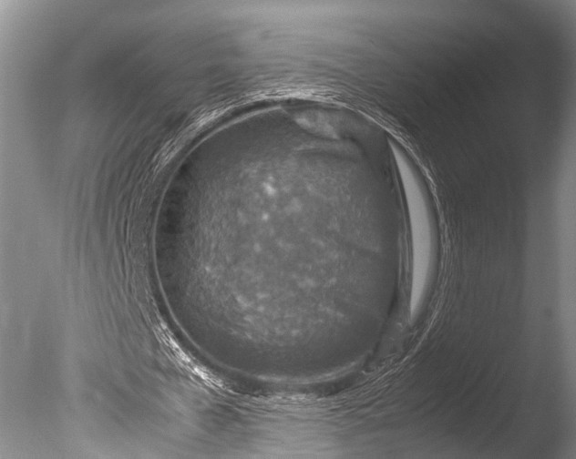 X0000085730577200703301404